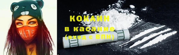 стаф Алзамай