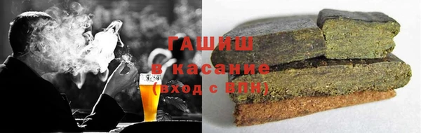 стаф Алзамай