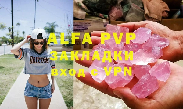 стаф Алзамай