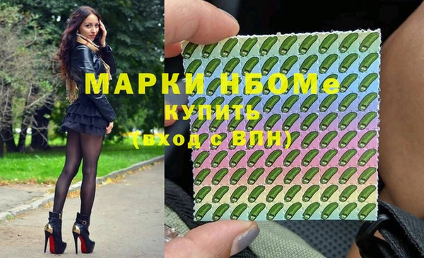 стаф Алзамай