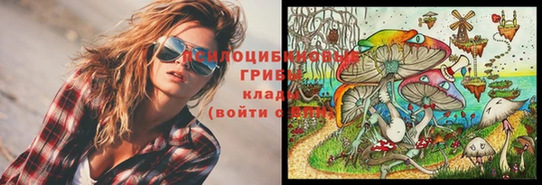 стаф Алзамай