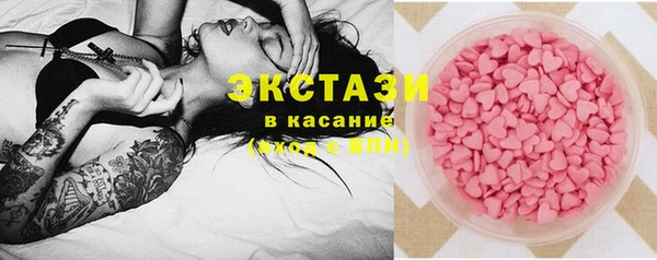 стаф Алзамай